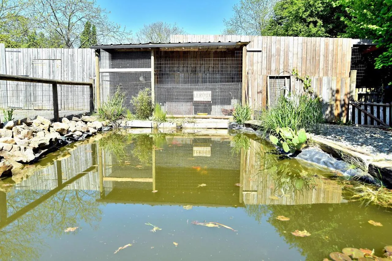 シャレー Maison En Bois Pluduno